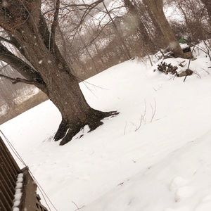 Meet your Posher, Roman